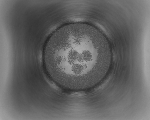 X0000111180447200907011413