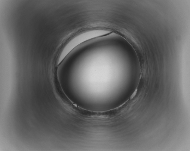 X0000111180448200907011413