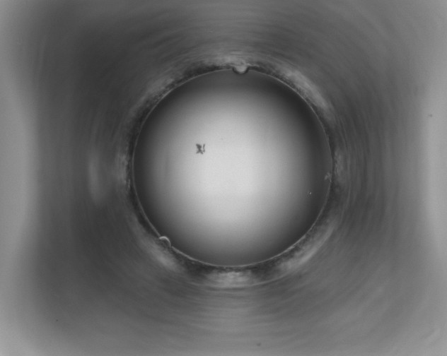 X0000111180449200907011413