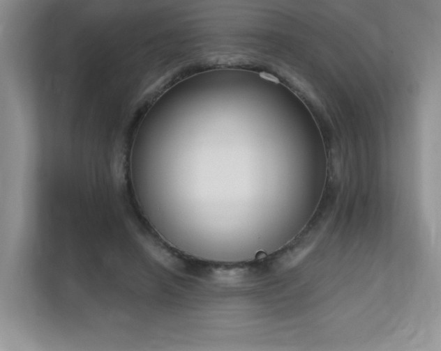 X0000111180450200907011413