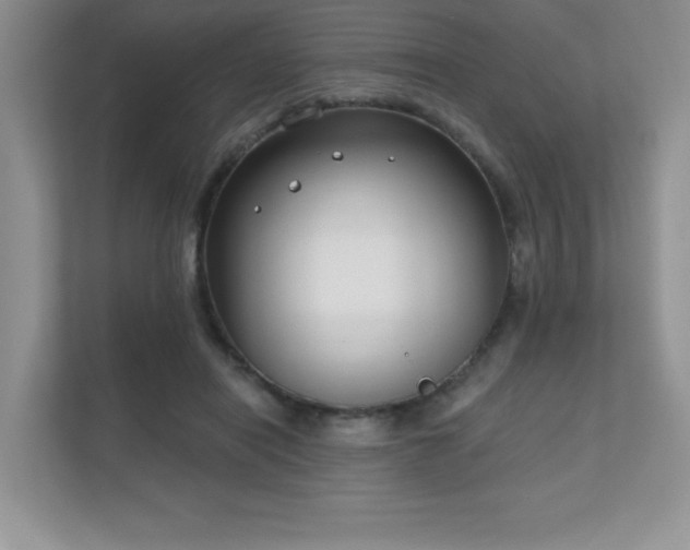 X0000111180454200907011413