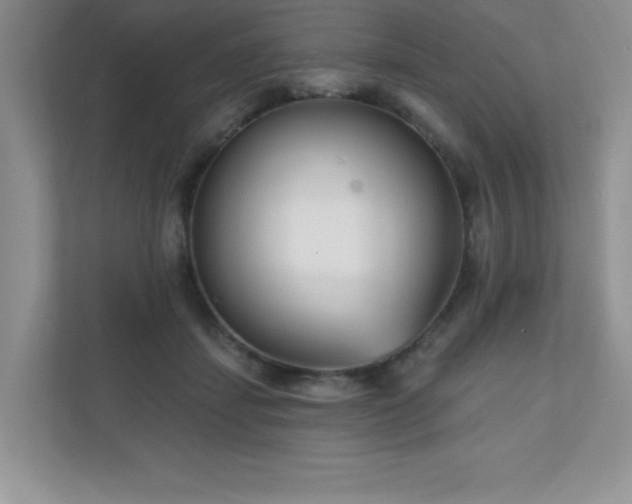 X0000111180459200907011413