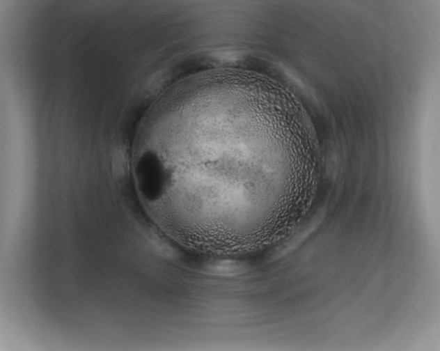 X0000111180467200907011413