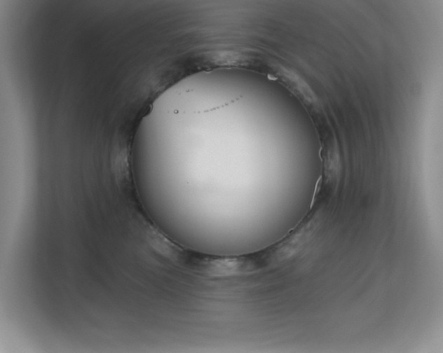 X0000111180473200907011413