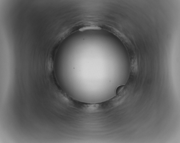 X0000111180474200907011413