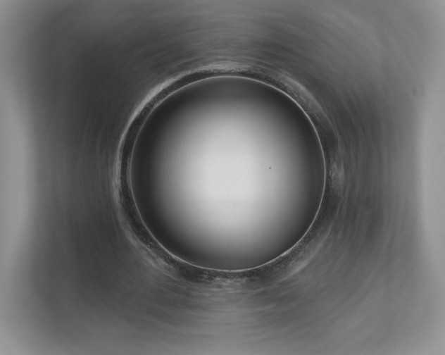 X0000111180484200907011413