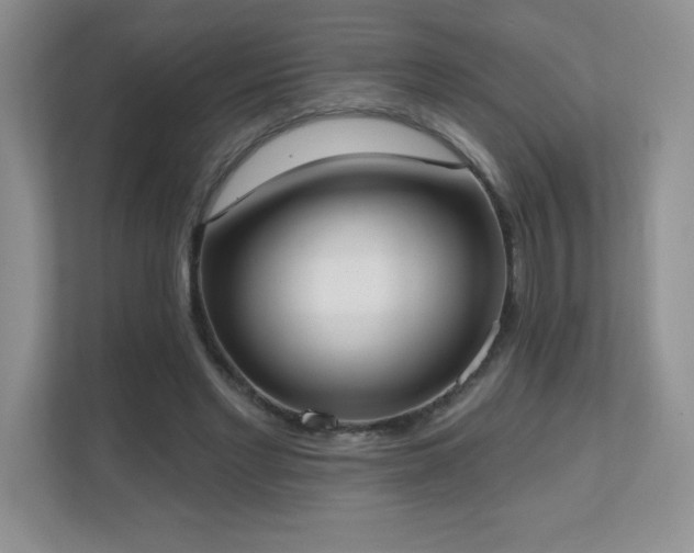 X0000111180493200907011413