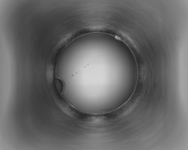 X0000111180495200907011413