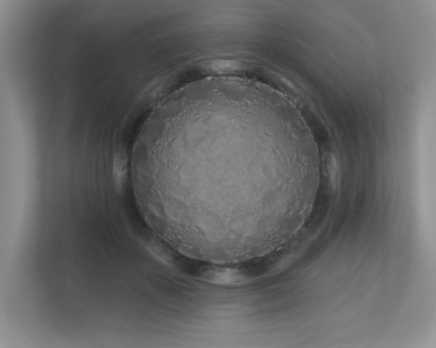 X0000111180507200907011413