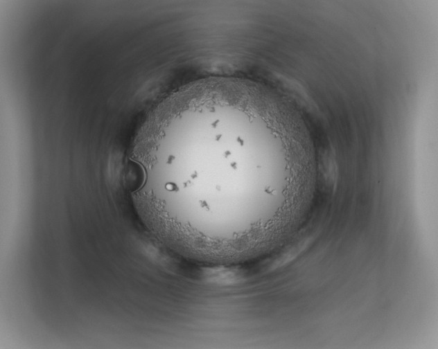 X0000111180511200907011412