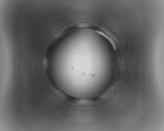 X0000111180521200907011412