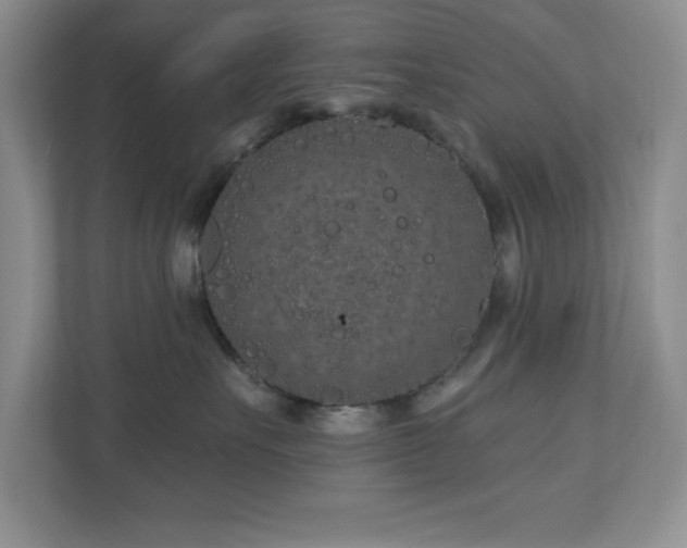 X0000111180527200907011412