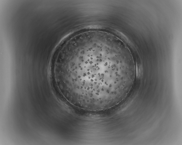 X0000111180531200907011412