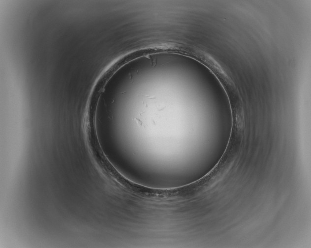 X0000111180532200907011412