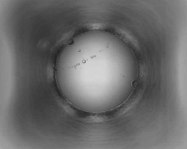 X0000111180545200907011412