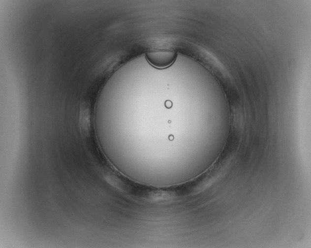 X0000111180549200907011412