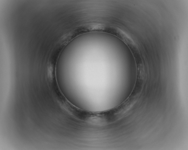 X0000111180550200907011412