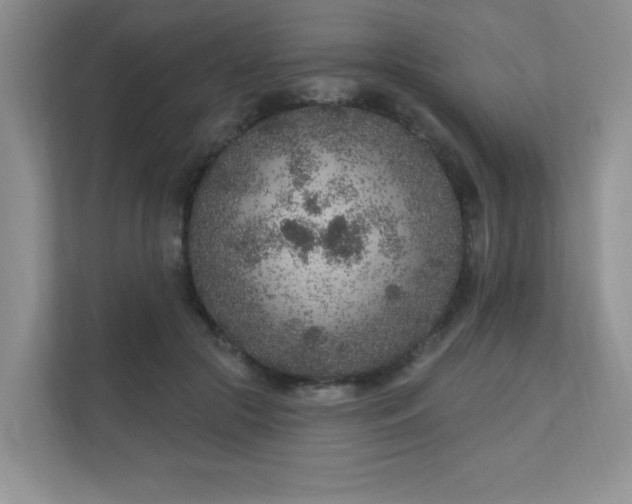 X0000111180553200907011412