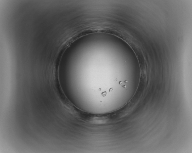 X0000111180556200907011412