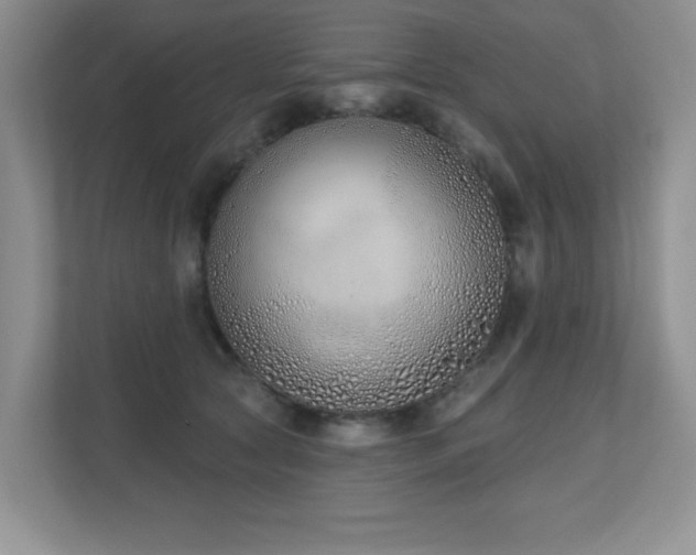 X0000111180561200907011412