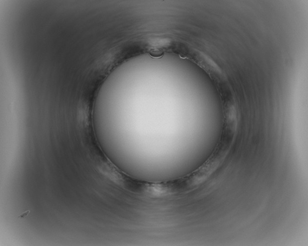 X0000111180565200907011412