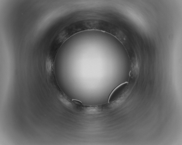 X0000111180574200907011412