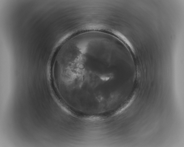 X0000111180581200907011412