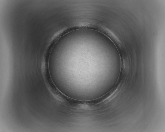 X0000111180588200907011411