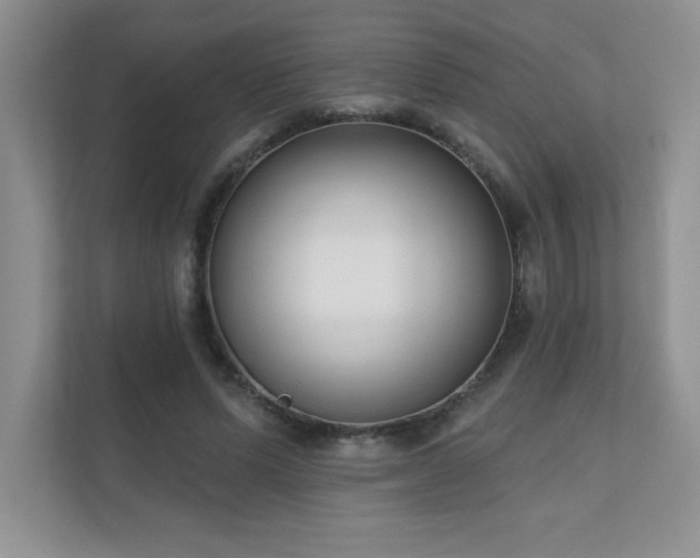 X0000111180591200907011411