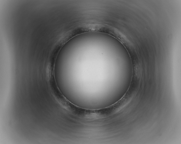 X0000111180594200907011411