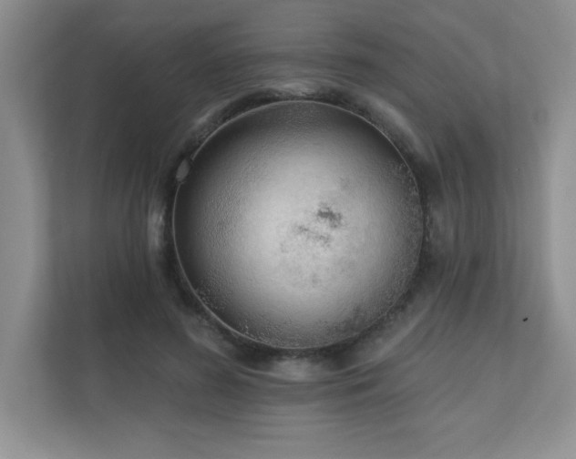 X0000111180596200907011411