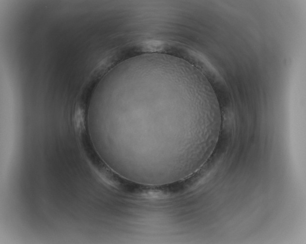 X0000111180598200907011411