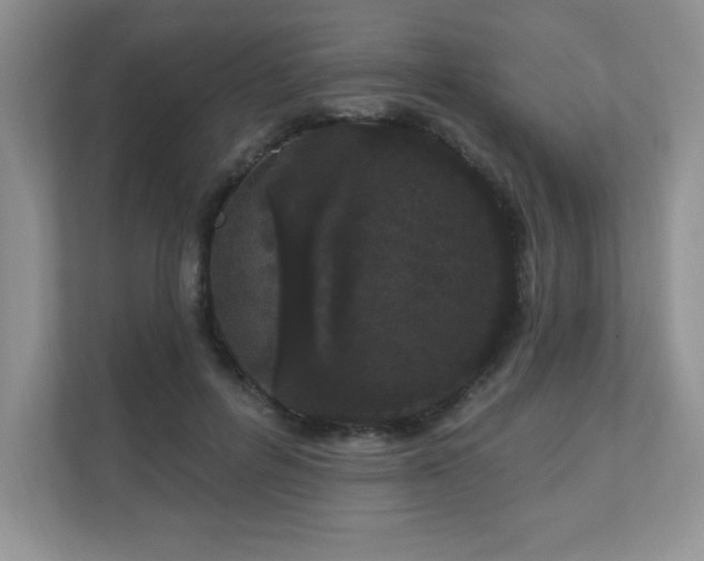 X0000111180600200907011411