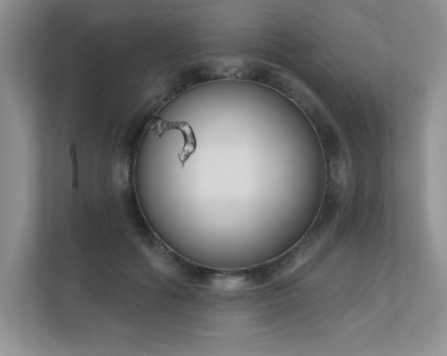 X0000111180602200907011411