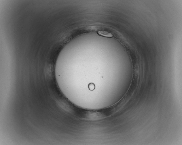 X0000111180605200907011411