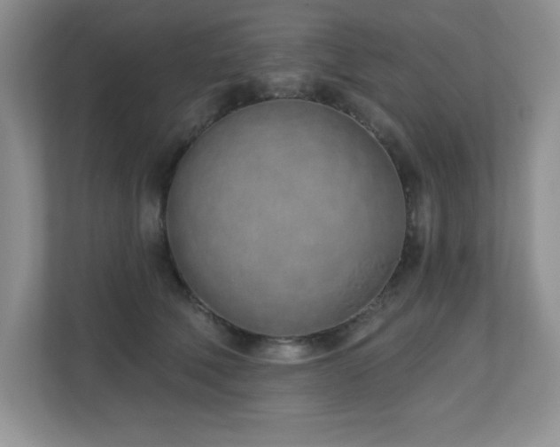 X0000111180610200907011411