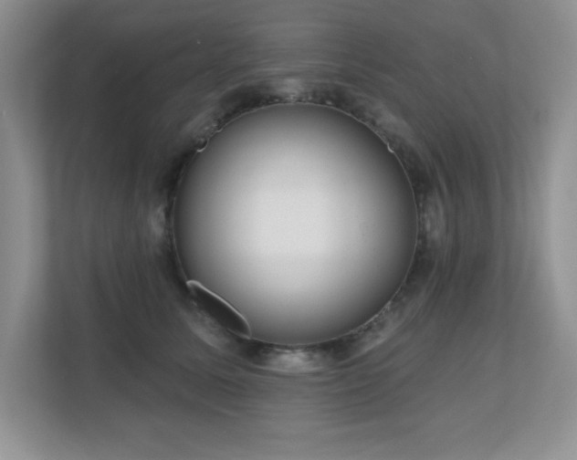 X0000111180611200907011411