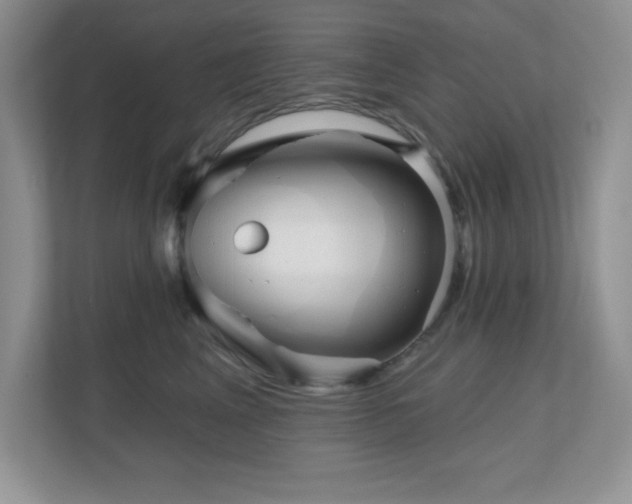 X0000111180617200907011411