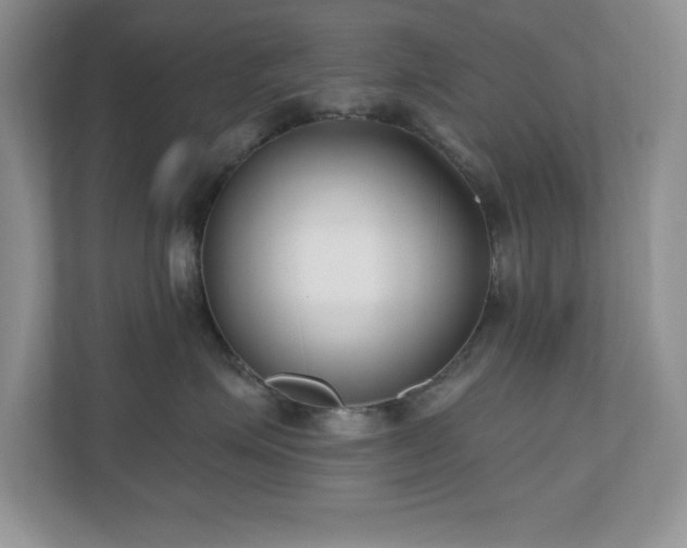 X0000111180623200907011411