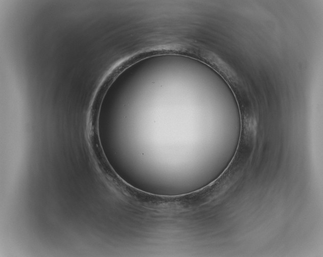 X0000111180628200907011410