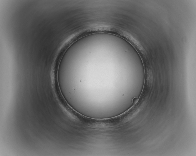 X0000111180629200907011410