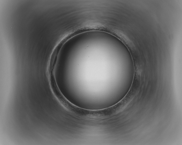 X0000111180630200907011410