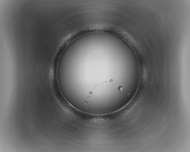 X0000111180636200907011411