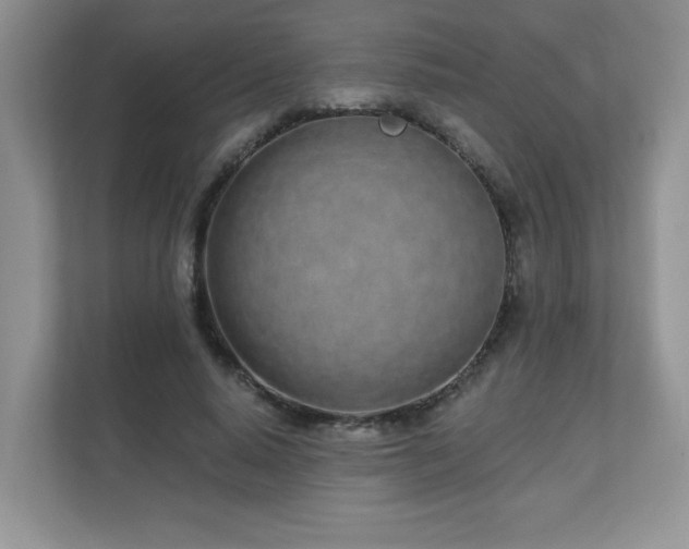 X0000111180640200907011411