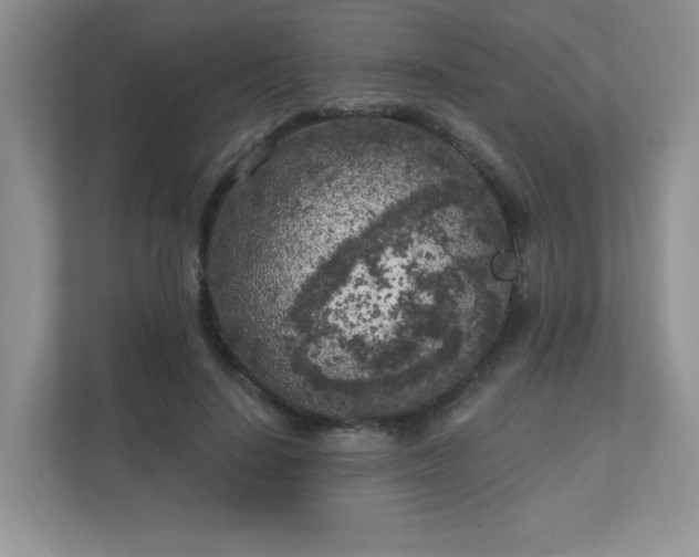 X0000111180644200907011411