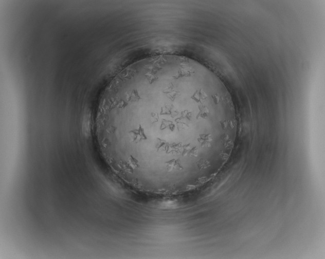 X0000111180647200907011411