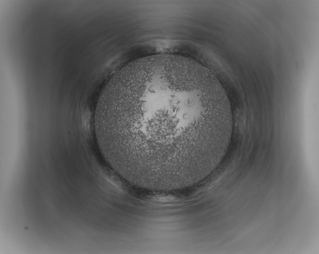 X0000111180650200907011411