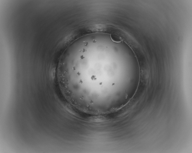 X0000111180652200907011411