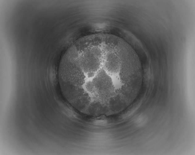 X0000111180653200907011411