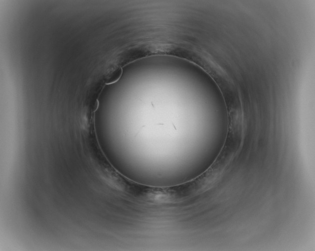 X0000111180655200907011411